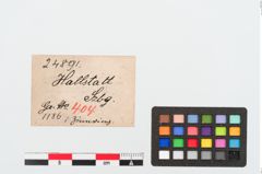Etiketten zu Bleiring (NHMW-PRAE-024891)